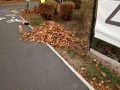 Hrabání listí v ulici Studentská