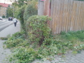 Prořezávky Ervěnická