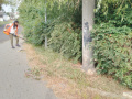 Prořezávky Ervěnická