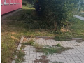 Prořezávky a pletí 4.ZŠ Krušnohorská