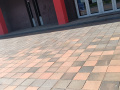 Prořezávky a pletí 4.ZŠ Krušnohorská