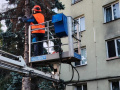 Kácení stromů a prořezávky I