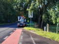 Kácení stromů a prořezávky II