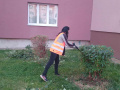 Úprava živých plotů - Ervěnice střed