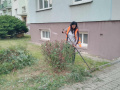 Úprava živých plotů - Ervěnice střed