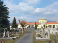 Ořezy suchých stromů - hřbitov Jirkov