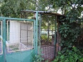 Listopad 2012 Oprava psího útulku